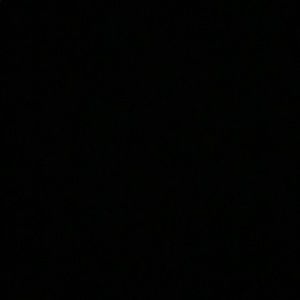 Meet your Posher, Angelina